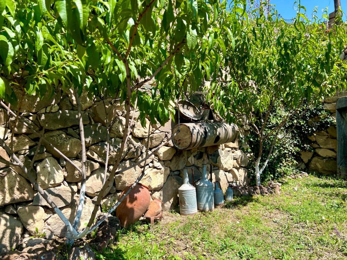 Igor Bed And Breakfast Halidzor Bagian luar foto