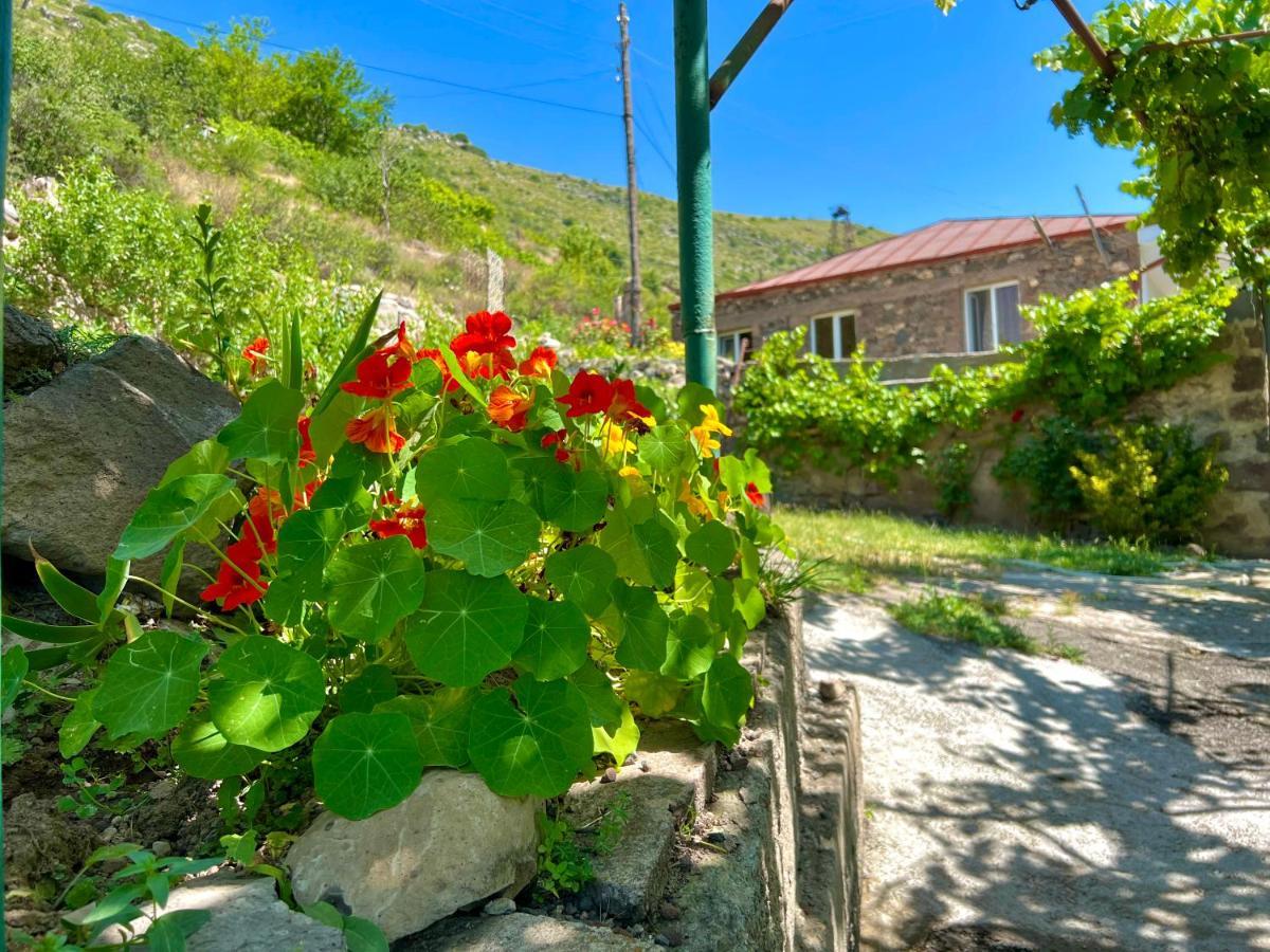 Igor Bed And Breakfast Halidzor Bagian luar foto
