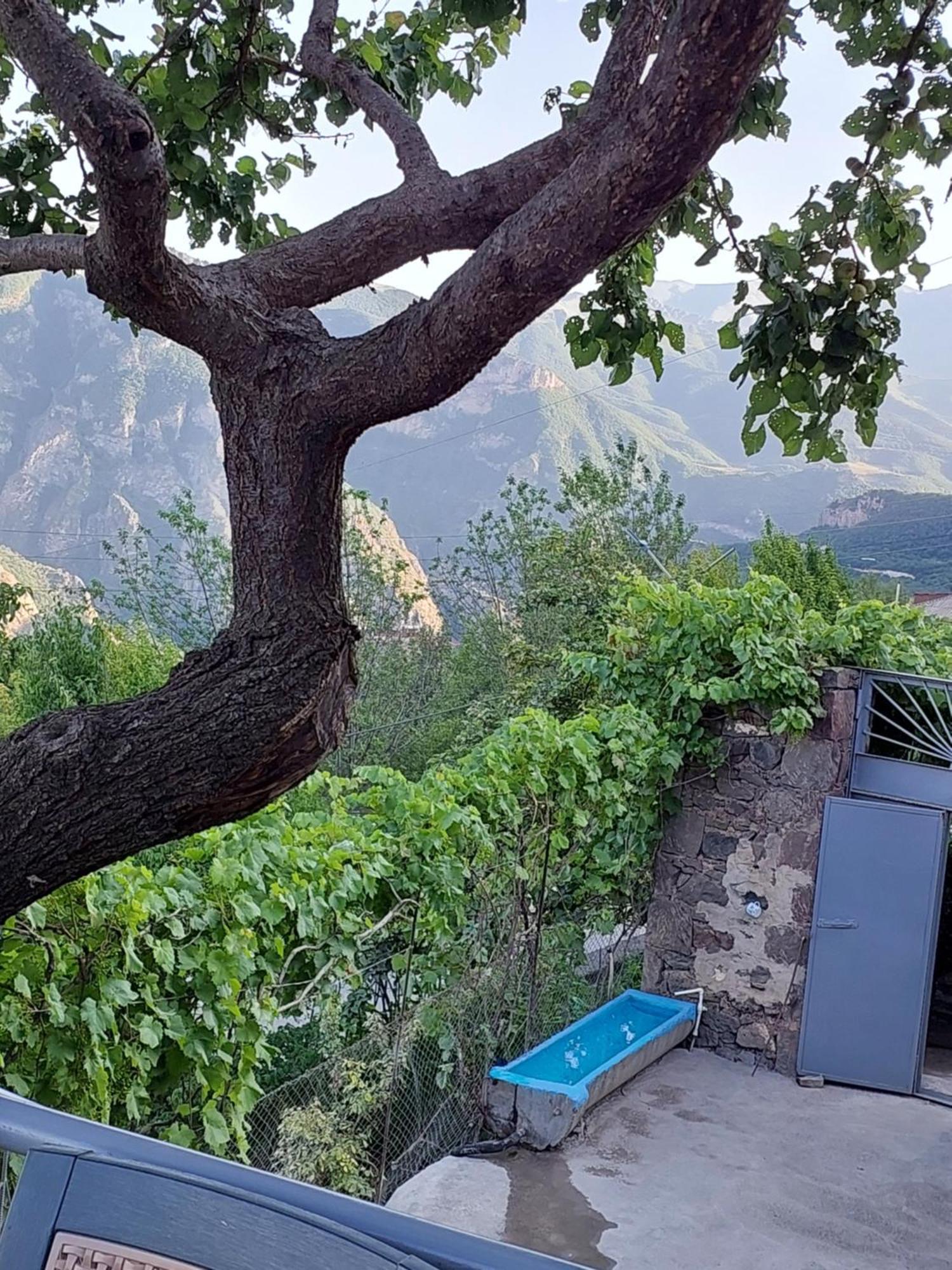 Igor Bed And Breakfast Halidzor Bagian luar foto