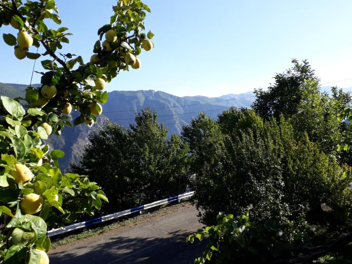Igor Bed And Breakfast Halidzor Bagian luar foto